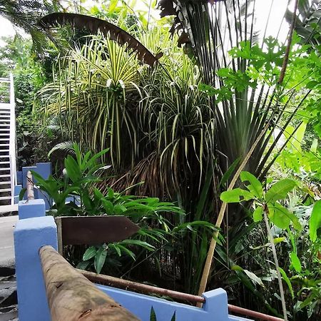 Moana Lodge Nicoya Ngoại thất bức ảnh