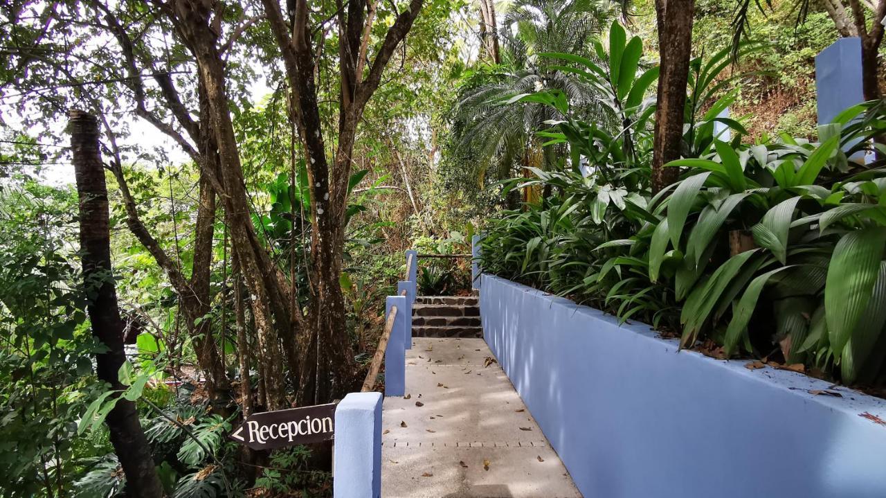 Moana Lodge Nicoya Ngoại thất bức ảnh