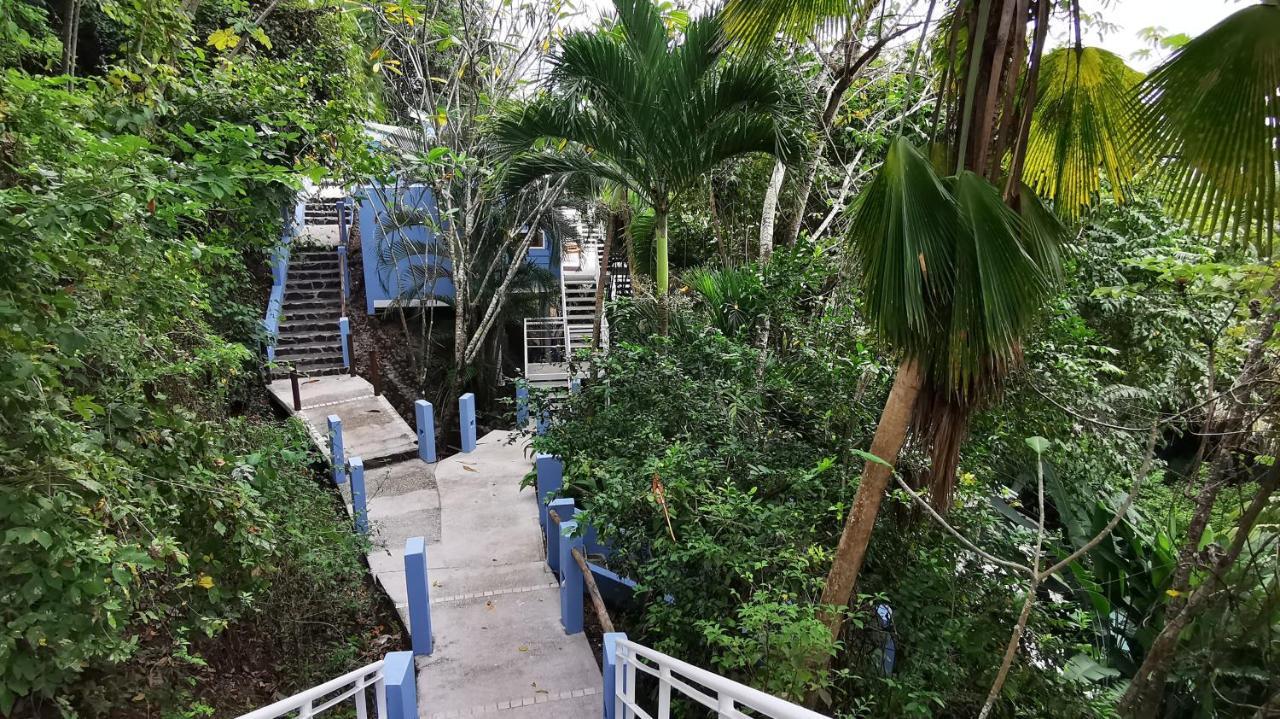 Moana Lodge Nicoya Ngoại thất bức ảnh