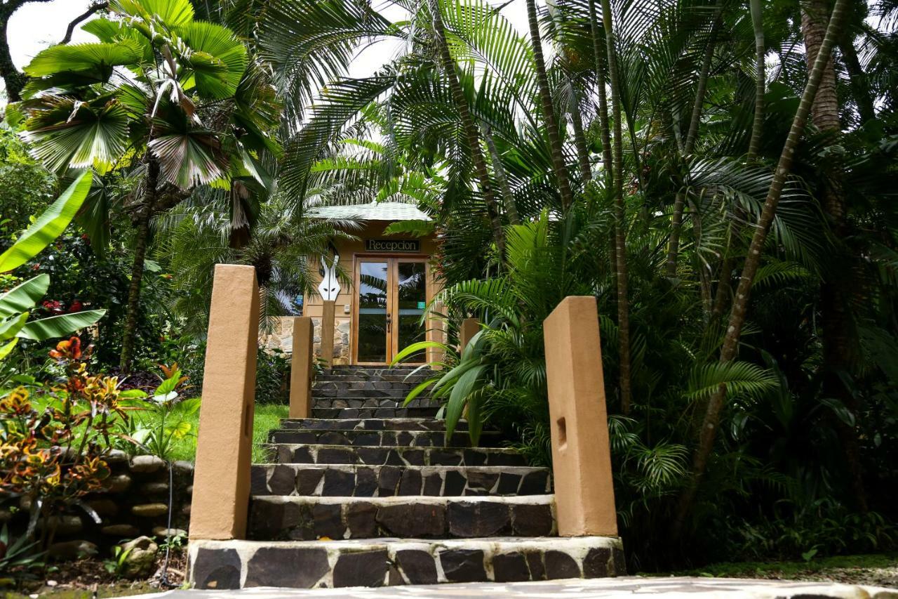 Moana Lodge Nicoya Ngoại thất bức ảnh