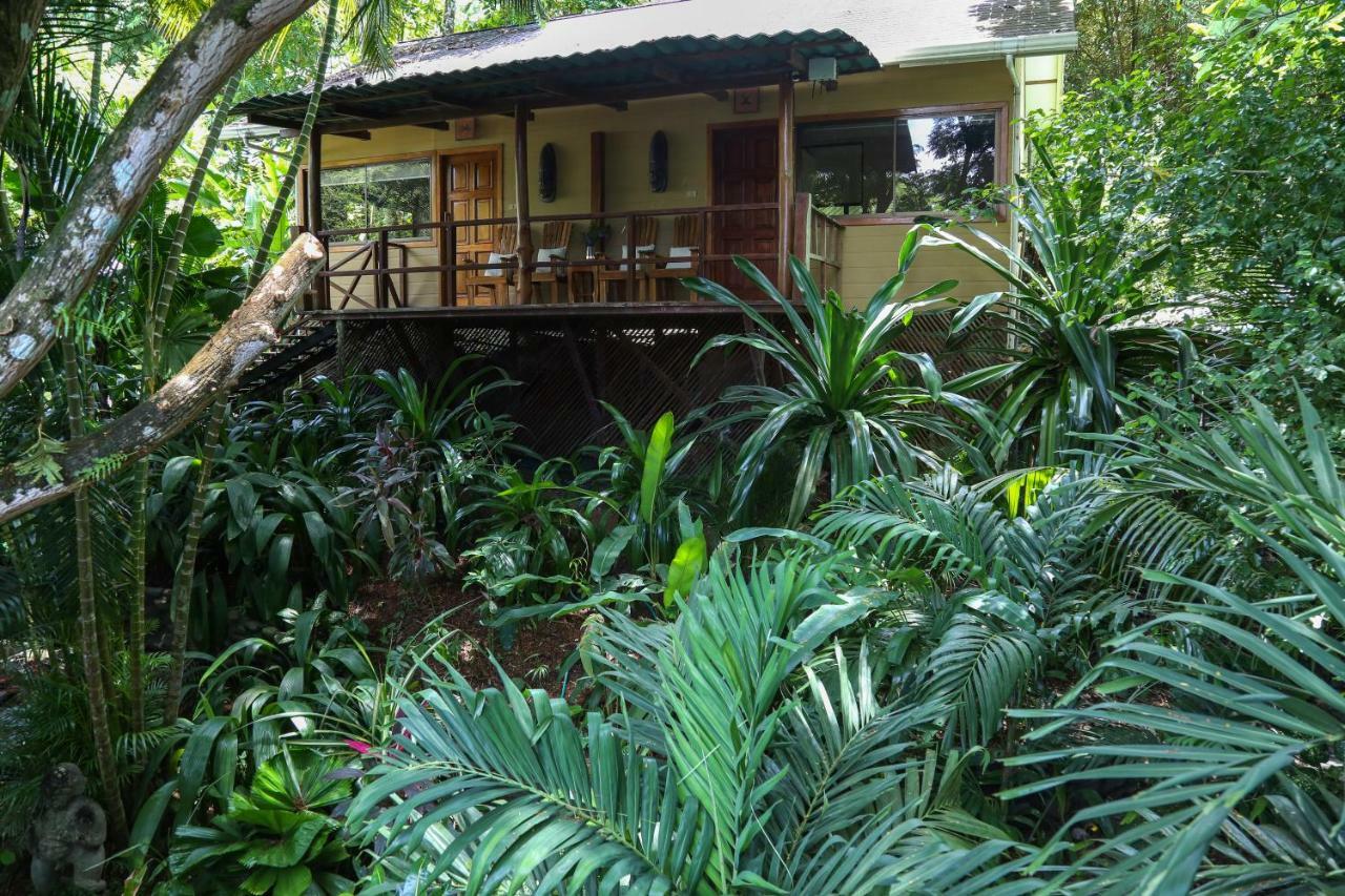 Moana Lodge Nicoya Ngoại thất bức ảnh